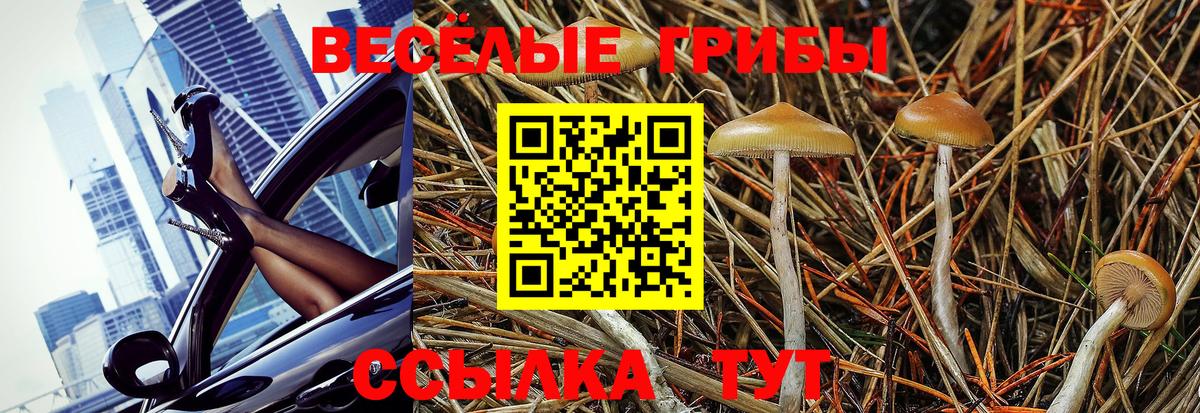 Псилоцибиновые грибы GOLDEN TEACHER Евпатория