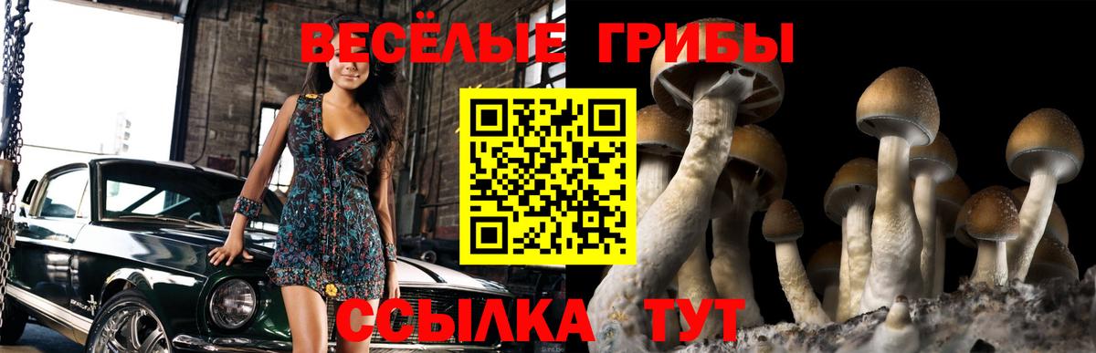 Евпатория  Псилоцибиновые грибы Magic Shrooms  Вход с VPN 